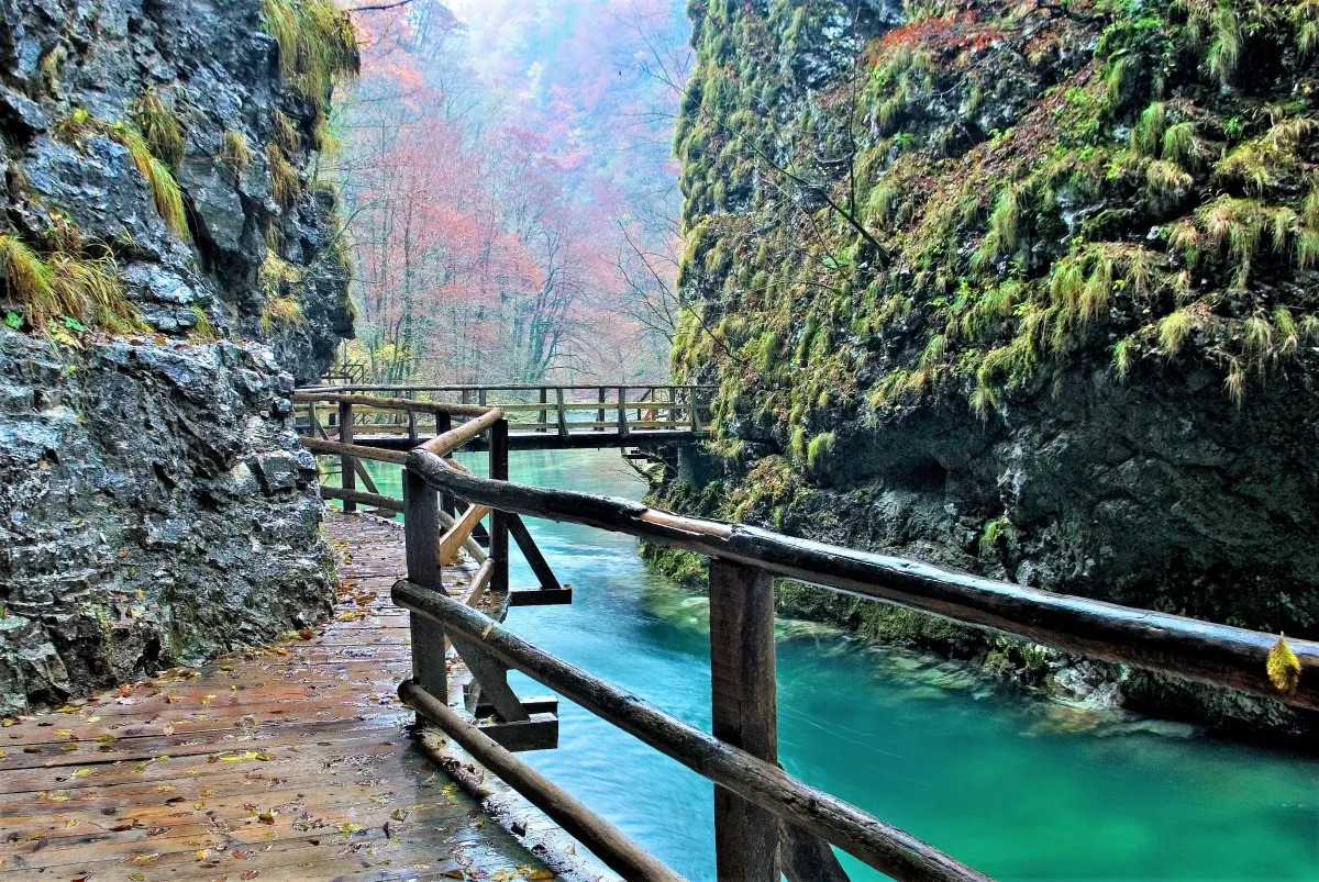 Vintgar Gorge